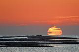 Oyster Shell Reefs In Sunrise_38650